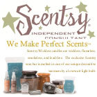 W140_scentsy