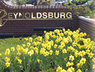 City of Reynoldsburg - Official - Reynoldsburg, Ohio