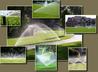 Greenville landscaping - All About Irrigation - Greenville, SC