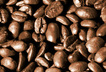 beans - The Generator Coffee House - Garland, Texas