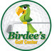 golf training - Birdee's Golf Center - New Braunfels, TX
