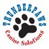 dog grooming - ThunderPaws Canine Solutions - Seguin, TX