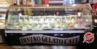 sorbet - Divino Gelato Cafe - Racine, WI