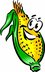 sweet corn - Matt's Produce - Racine, WI