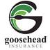 technology - Goosehead Insurance Agency with Benjamin Murphy - Racine, WI