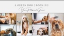 dog groomer - A Green Dog Grooming - South Milwaukee , WI