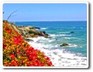 ocean view - Laguna Beach Inn - Laguna Beach, CA