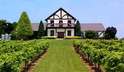 Beachaven Vineyards & Winery - Clarksville, Tennessee