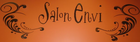 Normal_salon_envi_logo