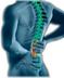 chiropractor - Labas Chiropractic Center - Cranberry Twp, Pa