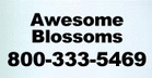 Odessa TX - Awesome Blossoms Flowers & Gifts - Odessa, Tx