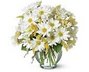 special occasions - Bostic Florist - Bostic, North Carolina