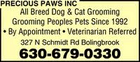 Most Dogs Groomed Within 2 Hours - Precious Paws INC - Bolingbrook, IL