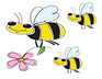 Honey Bee Academy - Brandon, South Dakota