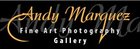 Artist - Andy Marquez Gallery - Littleton, CO