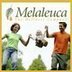 wellness - April Arzadon, Distributor of Melaleuca Products - Kapaa, HI