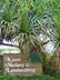 arborist - Kauai Nursery & Landscaping - Lihue, HI