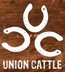 The Union Cattle Co. Brewhouse & Grill - Hermosa Beach, CA
