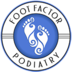 Normal_foot_factor_podiatry_web_logo