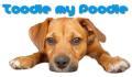 Toodle My Poodle - West Palm Beach, Florida