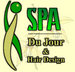 service - Spa Du Jour - Alpharetta, GA