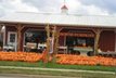 local farm - Brown's Produce - Bloomington, IL
