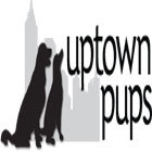W140_uptown-pups-banner-ad