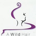 W140_a_wild_hair