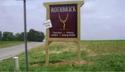 vineyard - Rothbrick Crush - Jackson, Missouri