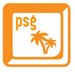 Normal_palmetto_software_logo