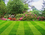 Lawn Busters - Collierville, TN