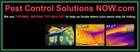 money - Pest Control Solutions Now.com - Racine, WI