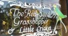 Red-Eyed Grasshopper Gifts - Orange, CA