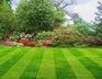 leaf cleanup & removal - A Perfect Cut Lawncare - Walkertown, NC