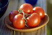 Normal_tomatoes