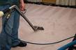 insured - Custom Steam Carpet Cleaning - Romeoville, IL