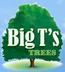 Stump Ginding - Big T's Trees - Yuba Cuty, CA