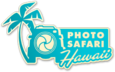 Photo Safari Hawaii - Kula, HI