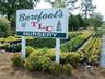 Barefoot's TLC Nursery - Four Oaks, NC