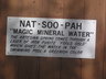 Nat Soo Pah Hot Springs & RV - Hollister, ID