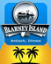 beer - Blarney Island - Antioch, IL
