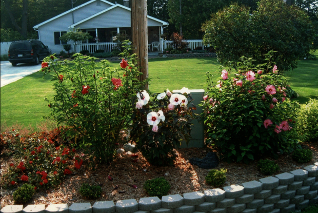 landscaping service, midland, mi, lawn care, lawn mowing