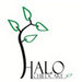 Thumb_halo-child-care-logo-140x14