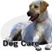Thumb_belle-city-dogcare