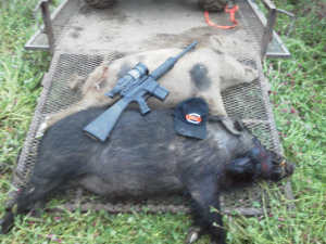 Hog Hunting Montgomery, AL